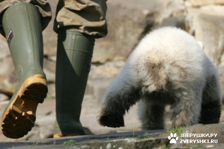 ���������� ���� (20 ����)