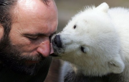 ���������� ���� (20 ����)