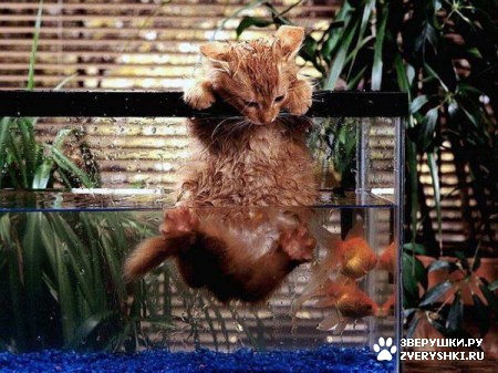 ��� ������� ������� �� ��� ��� ������ � ������� :)