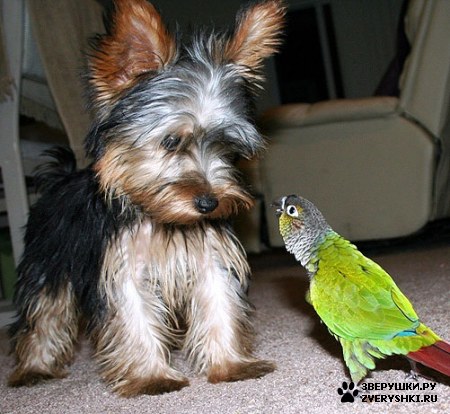 �������� � ���������� ��� ���! :)