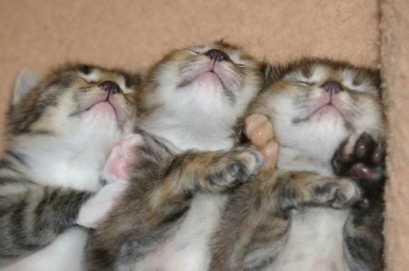 ������ ��� ��� ����� ���� :)