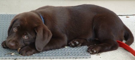 ����� - ���������� �������� :) (13 ����)