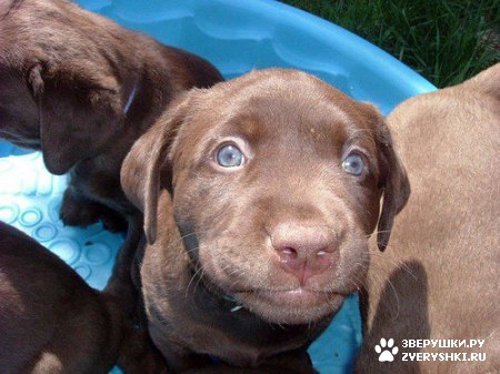 ������� �� ��� ��� �����? :)