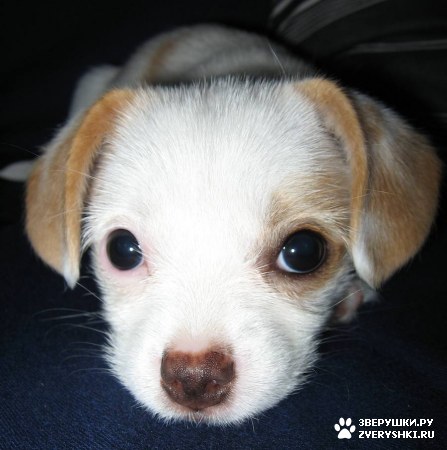 ����, ������ �����-��� :) (13 ����)