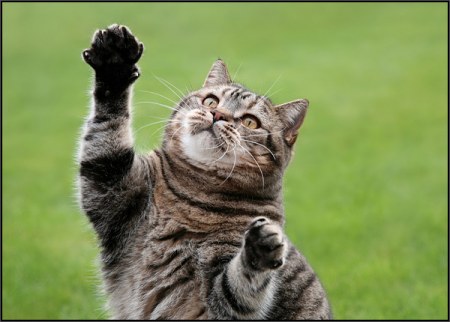 � ������ ���� ����! ;)