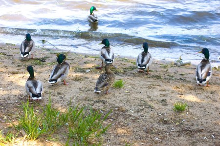 ���������� � ���� ������ :)