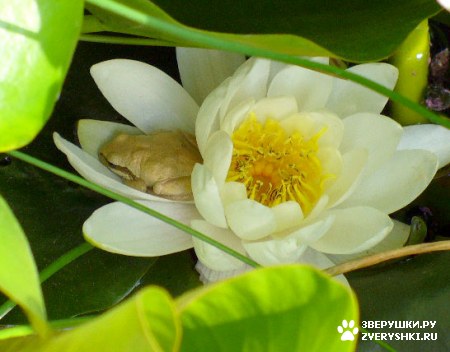 ��������� � �������� :)