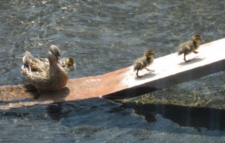 ������! ����� ����! :)