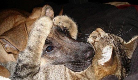 ��� ������ :)