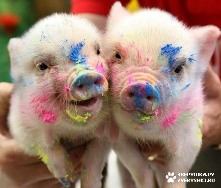 ��������� ��������! :)