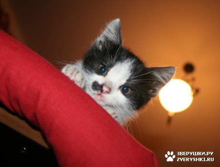 ���������� ����� ;)