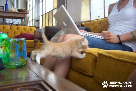 ������� ��������! :)