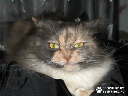 ������� ��� ������� ������! :)