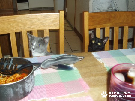 � �������� �����... :)