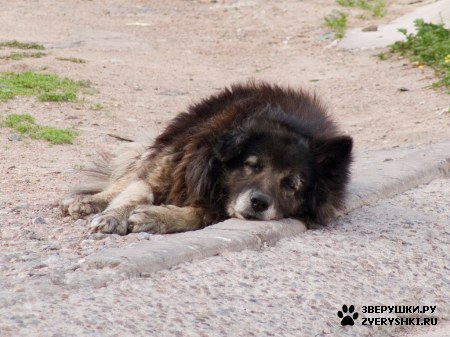 �������� ������ :)