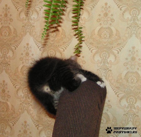 ����������