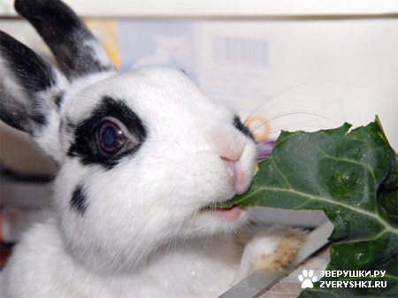 ���������! :)