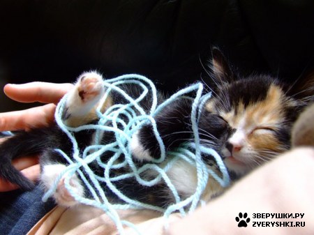 ��������� :)