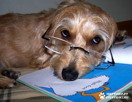 ���������� ��� ������� ������! :) 