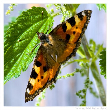 �����������!