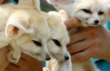 �������-��������� ;)