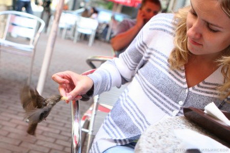 ������������� ������ "����" ��� �������� ��������� ���� � ������!