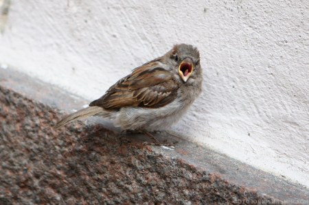 ������������� ������ "����" ��� �������� ��������� ���� � ������!