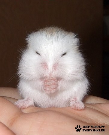 ���������� ��� ������� ������! :)