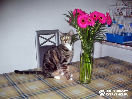 �������� ������ :)