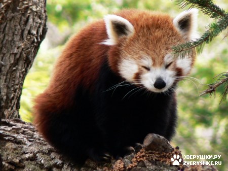 ���������� ���� :)