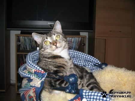 ����� � ����� ������� :)