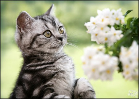 �� ����� �����.