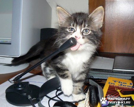 ������� � �����! ;)