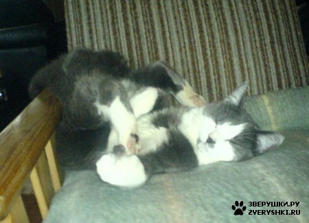 ����� ���������� �������! ;)