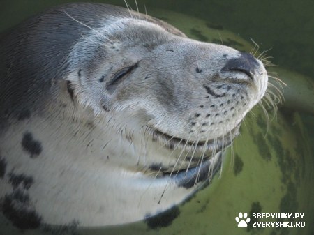 ���������� ��� ���! :)