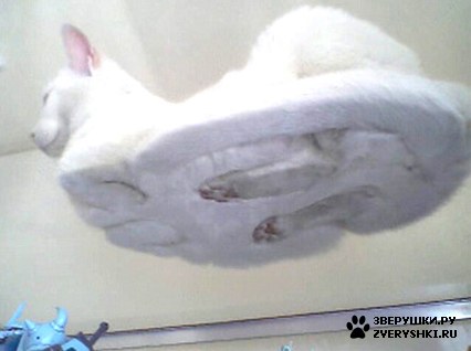 ��� �����... :)