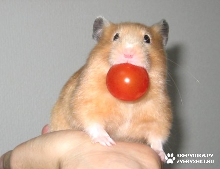 ��������� ������ :)