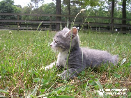 ��������� � ����������� ��� ��������! :)