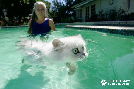 ����������� ������ :)