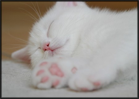 �� ������� �������� ����� ��� �����!