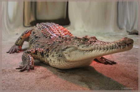 �����������? :)