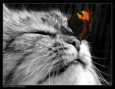 �������� ��� ����������! :)