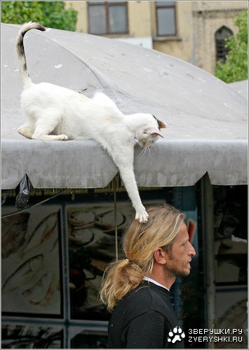 ����, ���� �����! :)