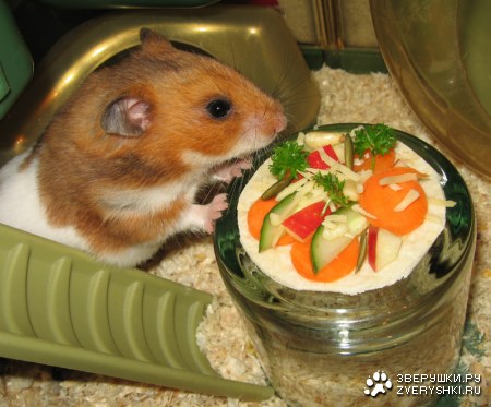 ������� ����� ��� ������� :)