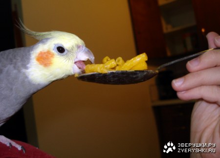 � ��� � �� ����� ��������? :)