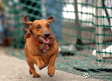 ��������� �����!