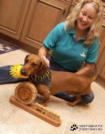 ��������� �����!