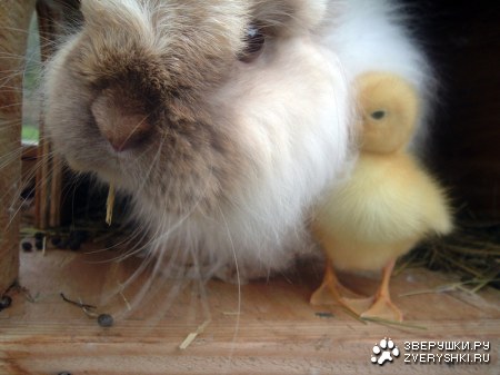 � ���� �� ����� ;)