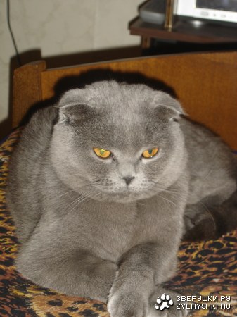 �� ��� � ���? :)