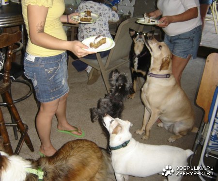 ���� ��������! :)